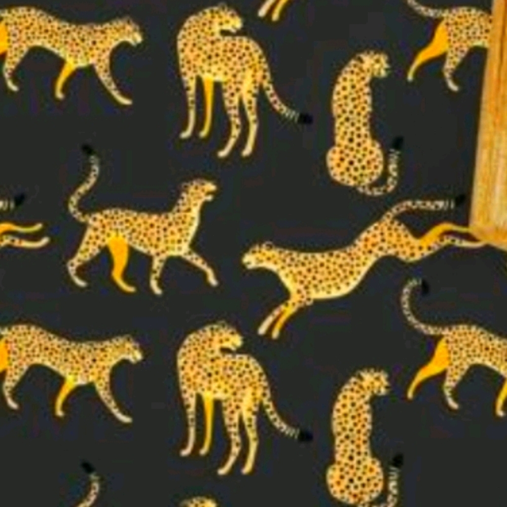 Meet your Posher, Jody